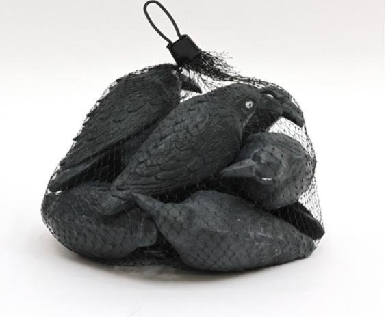 8pk Bag of Ravens